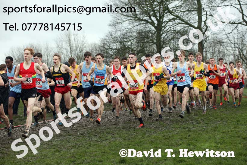 Senior boys 2019 New Balance English Schools Cross Country Champs, Temple Newsam, Leeds. Photo:  David T. Hewitson/Sports for All Pics